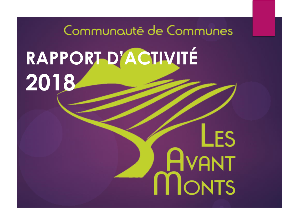 Rapport Activités CCAM