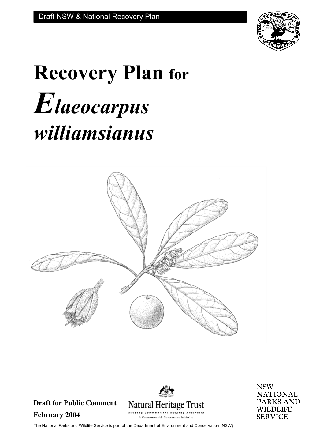 Elaeocarpus Williamsianus Draft Recovery Plan