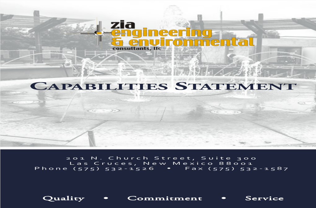 Capabilities Statement