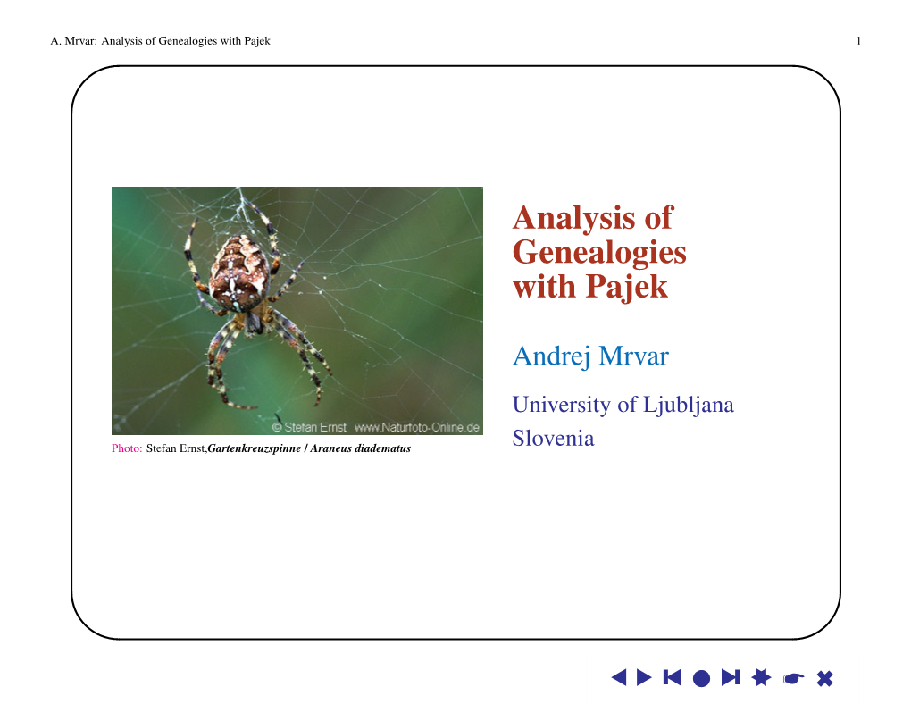 Analysis of Genealogies with Pajek 1