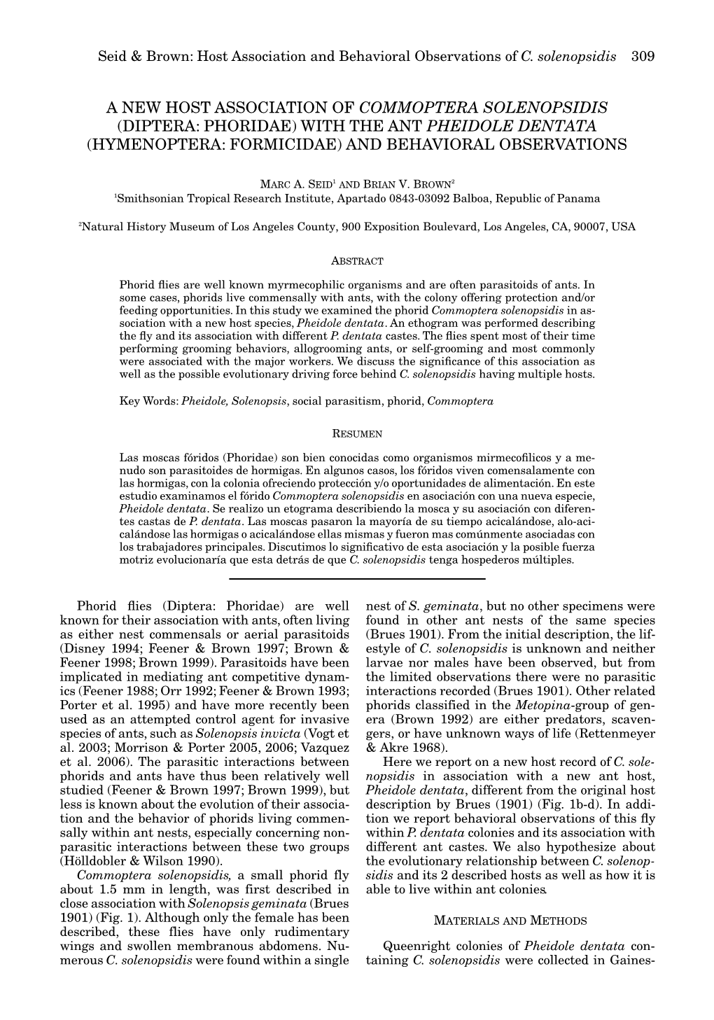 A New Host Association of Commoptera Solenopsidis (Diptera: Phoridae) with the Ant Pheidole Dentata (Hymenoptera: Formicidae) and Behavioral Observations