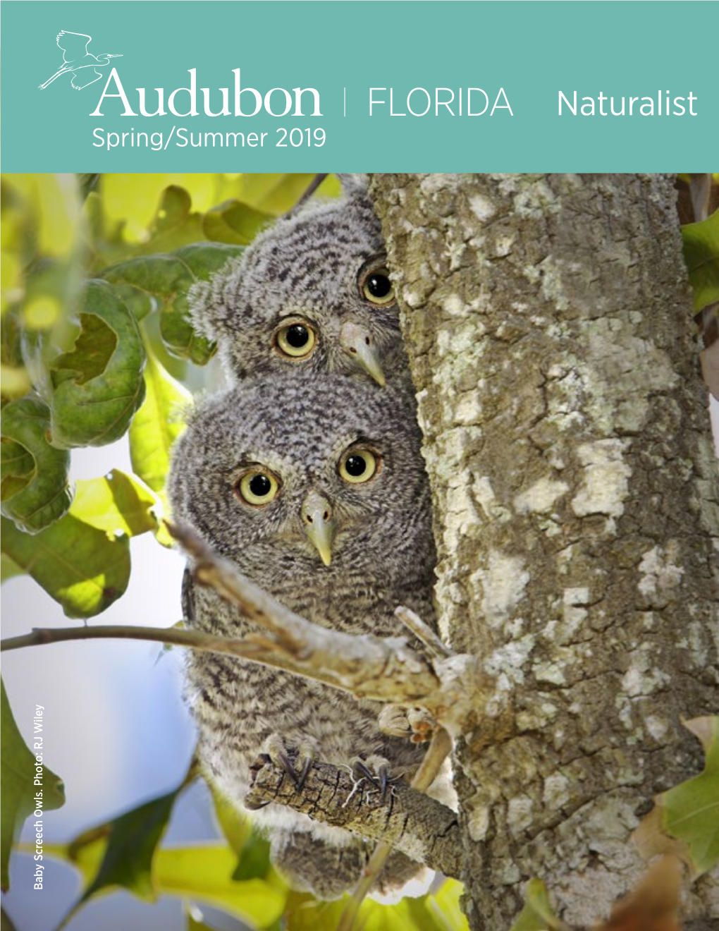 Audubon Florida Naturalist Magazine Spring/Summer 2019