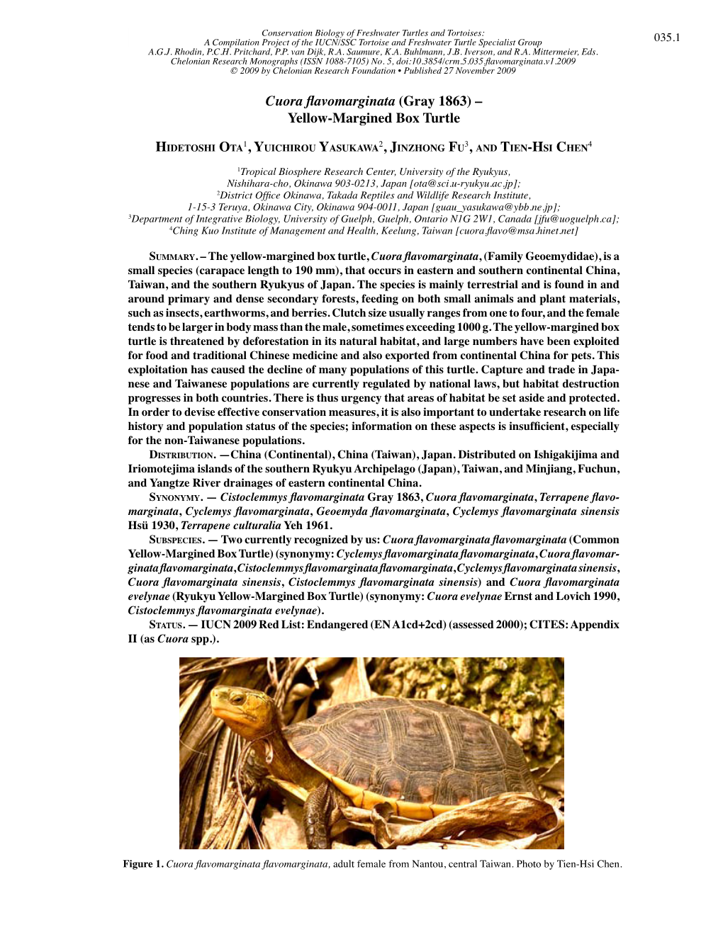 Cuora Flavomarginata (Gray 1863) – Yellow-Margined Box Turtle