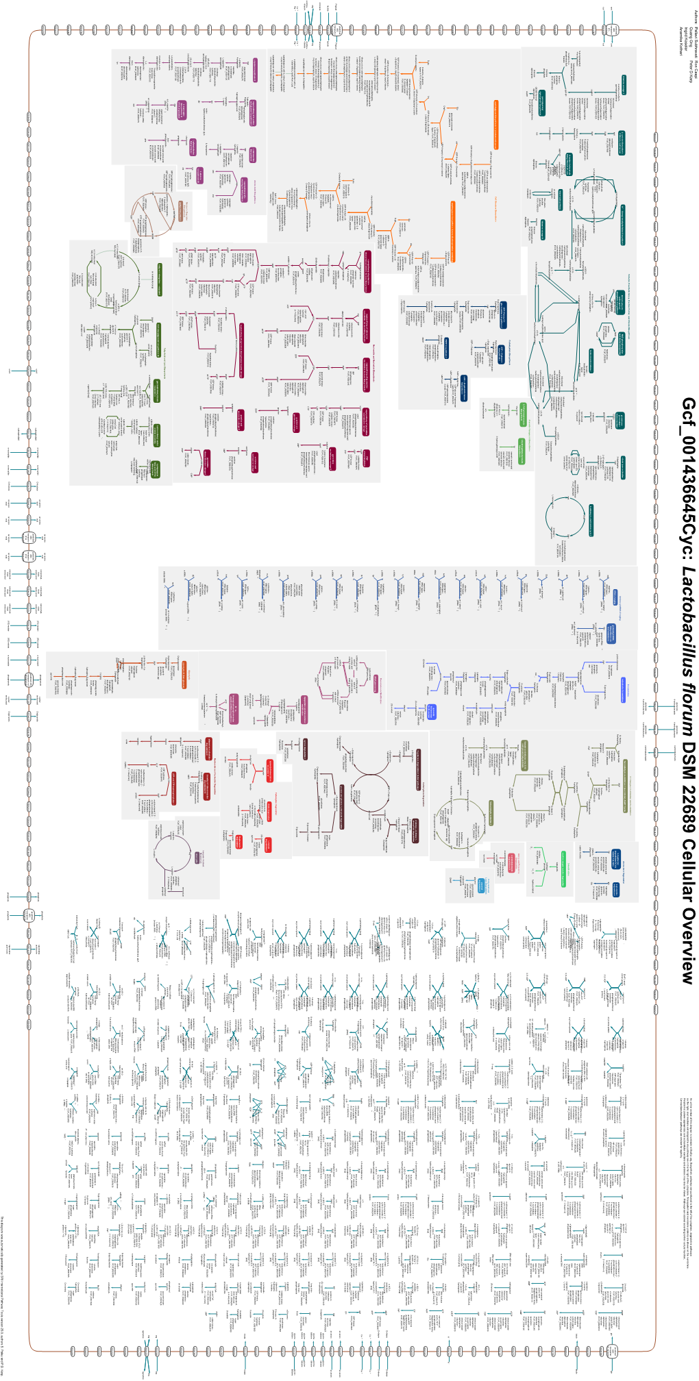 Generated by SRI International Pathway Tools Version 25.0, Authors S