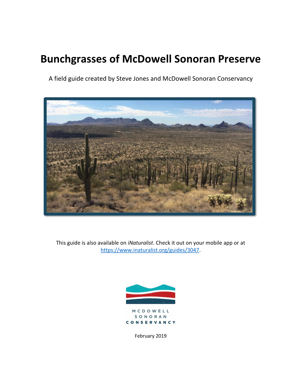 Bunchgrasses of Mcdowell Sonoran Preserve