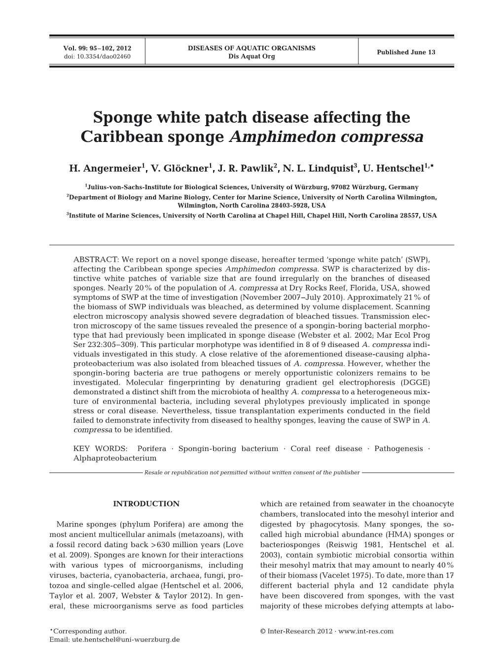 Sponge White Patch Disease Affecting the Caribbean Sponge Amphimedon Compressa
