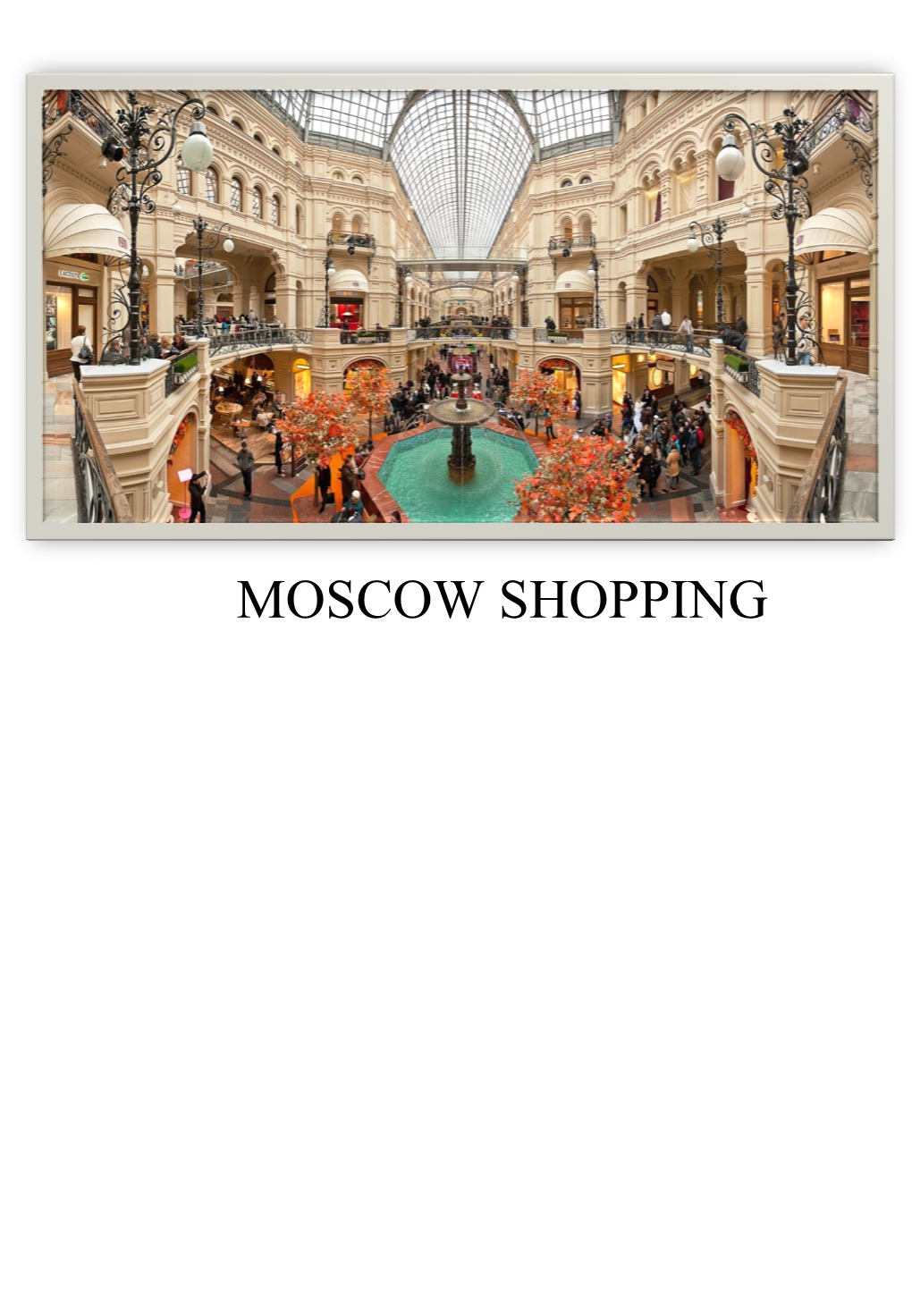 Moscow Shopping