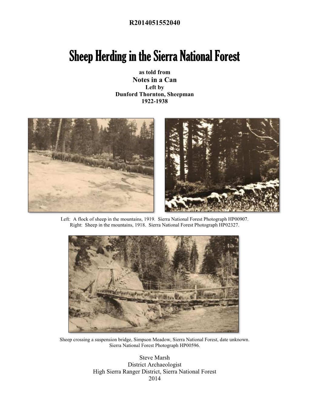 Sheep Herding in the Sierra National Forest, As