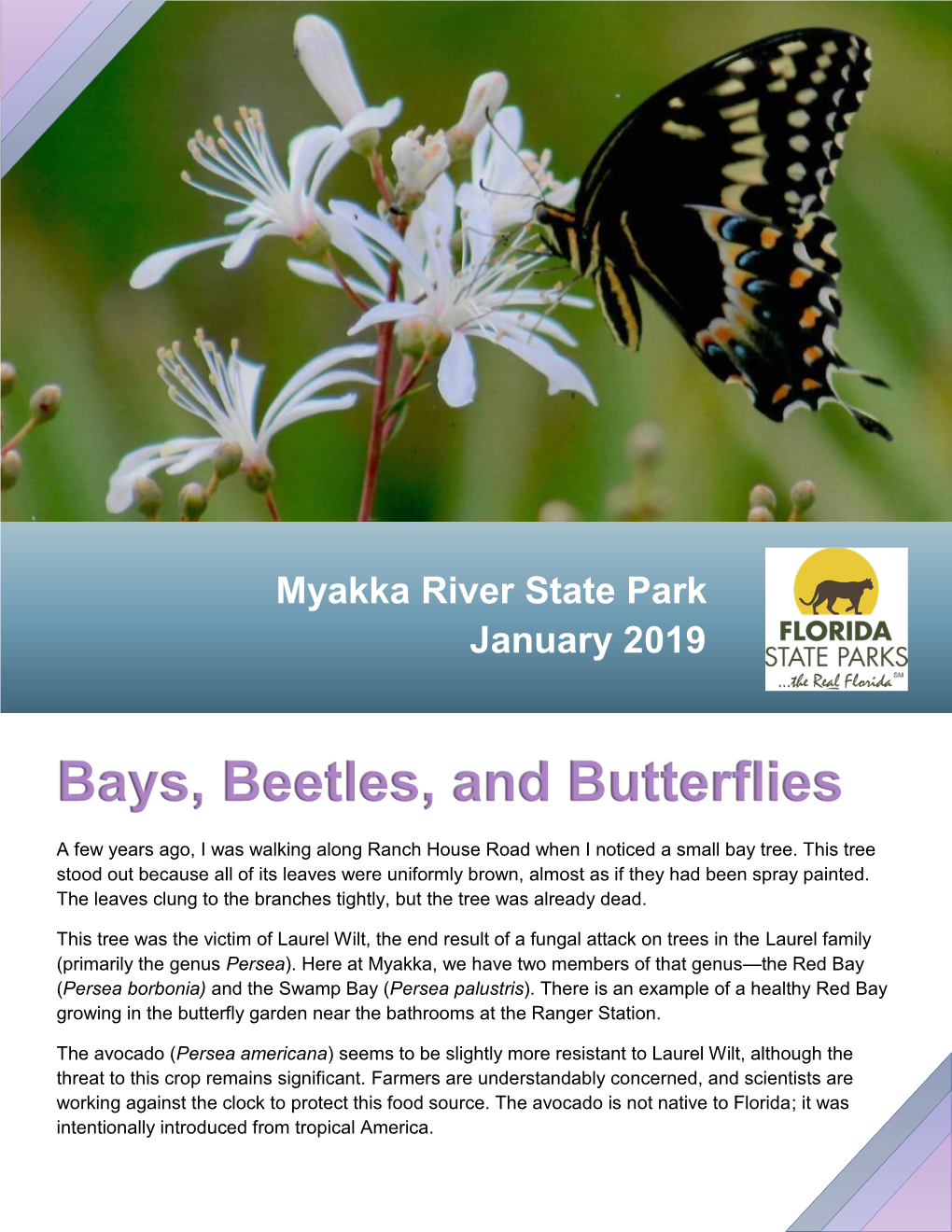 Bays, Beetles, and Butterflies