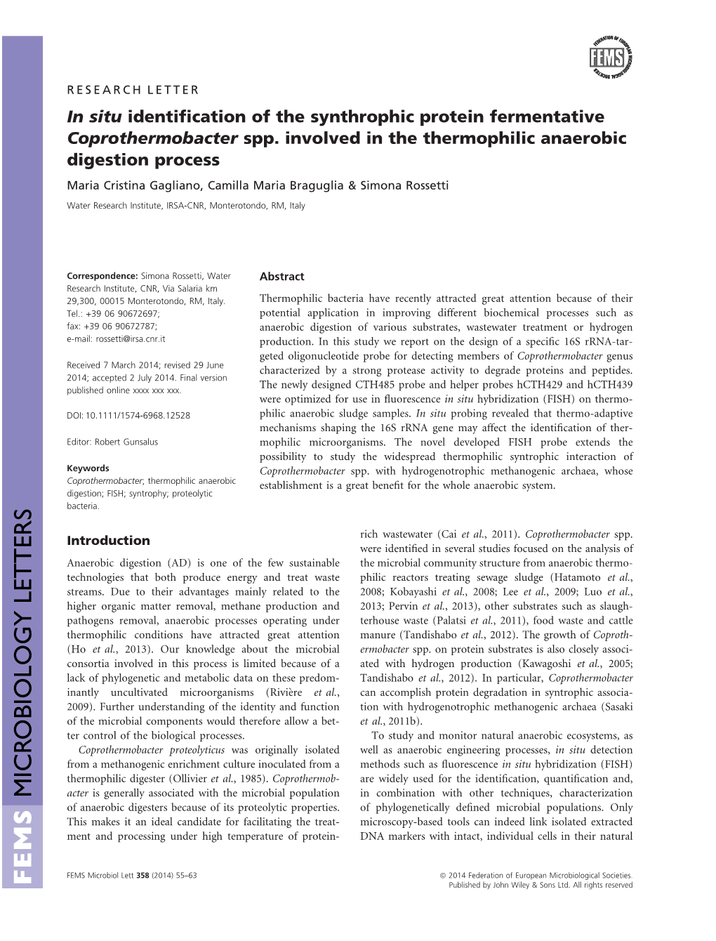 In Situ Identification of the Synthrophic Protein Fermentative