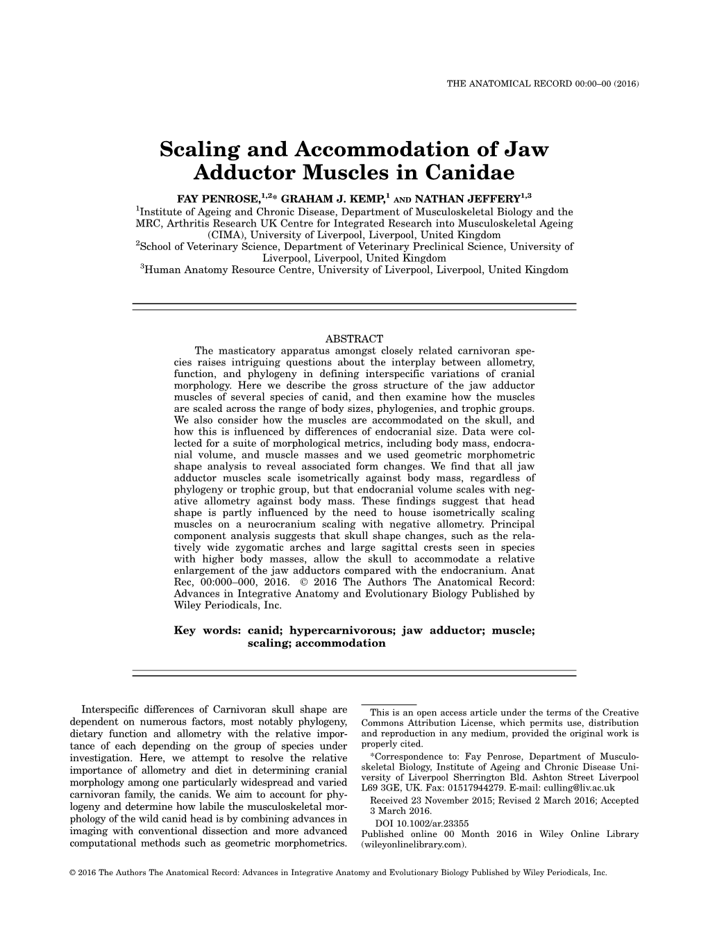 Scaling and Accommodation of Jaw Adductor Muscles in Canidae