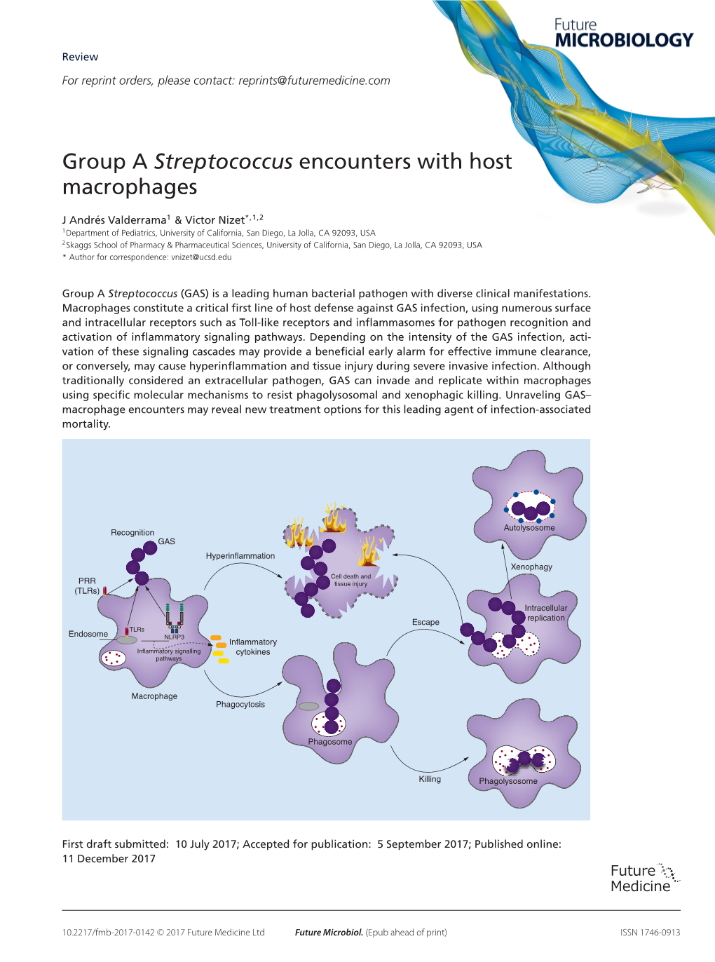 Group a Streptococcus Encounters with Host Macrophages