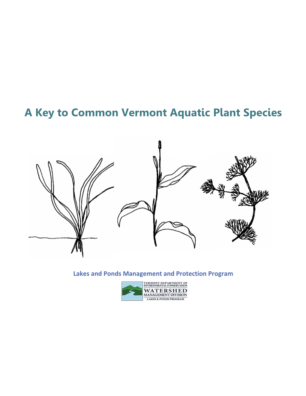 Key to Common Vermont Aquatic Plant Species