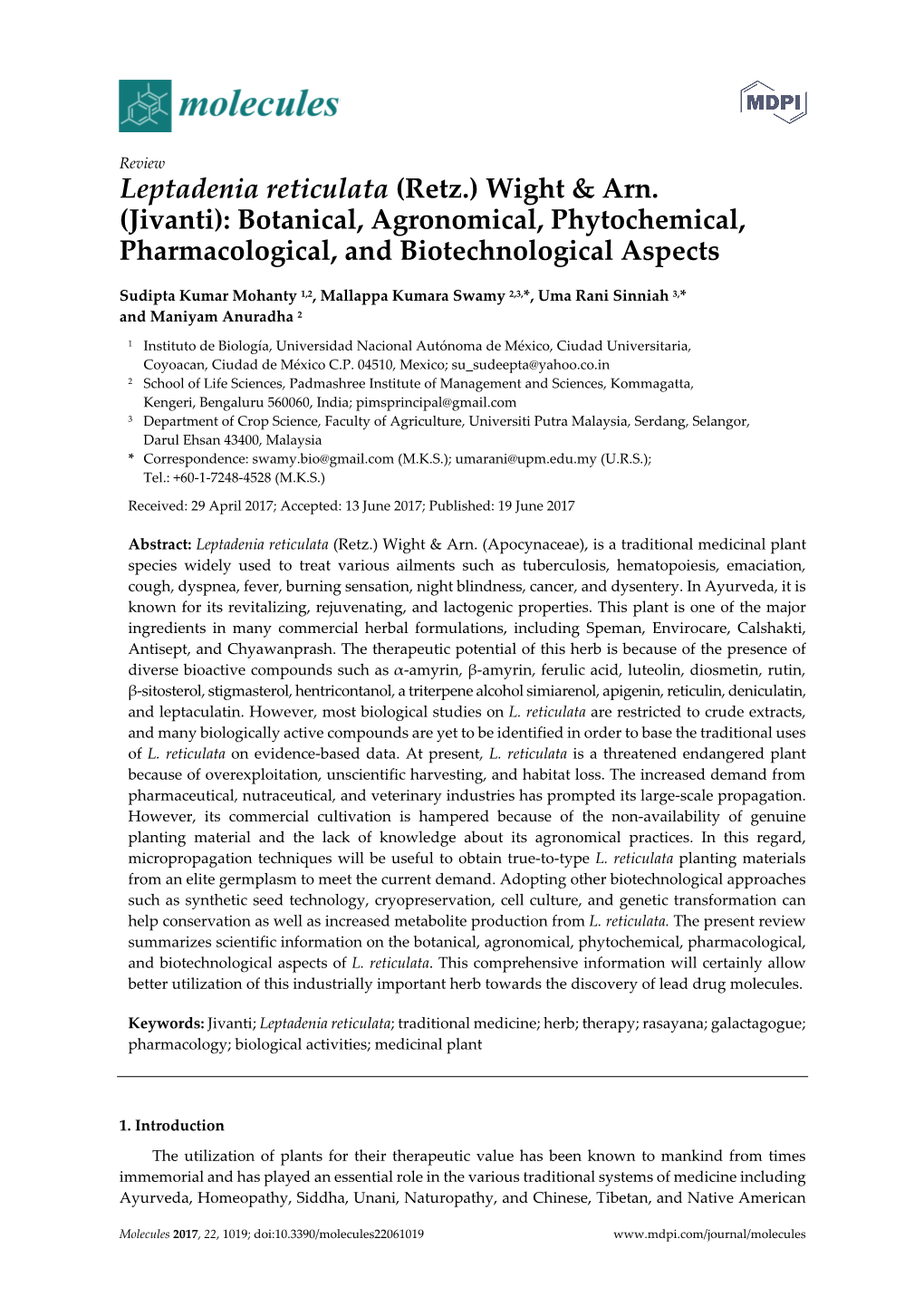 Leptadenia Reticulata (Retz.) Wight & Arn