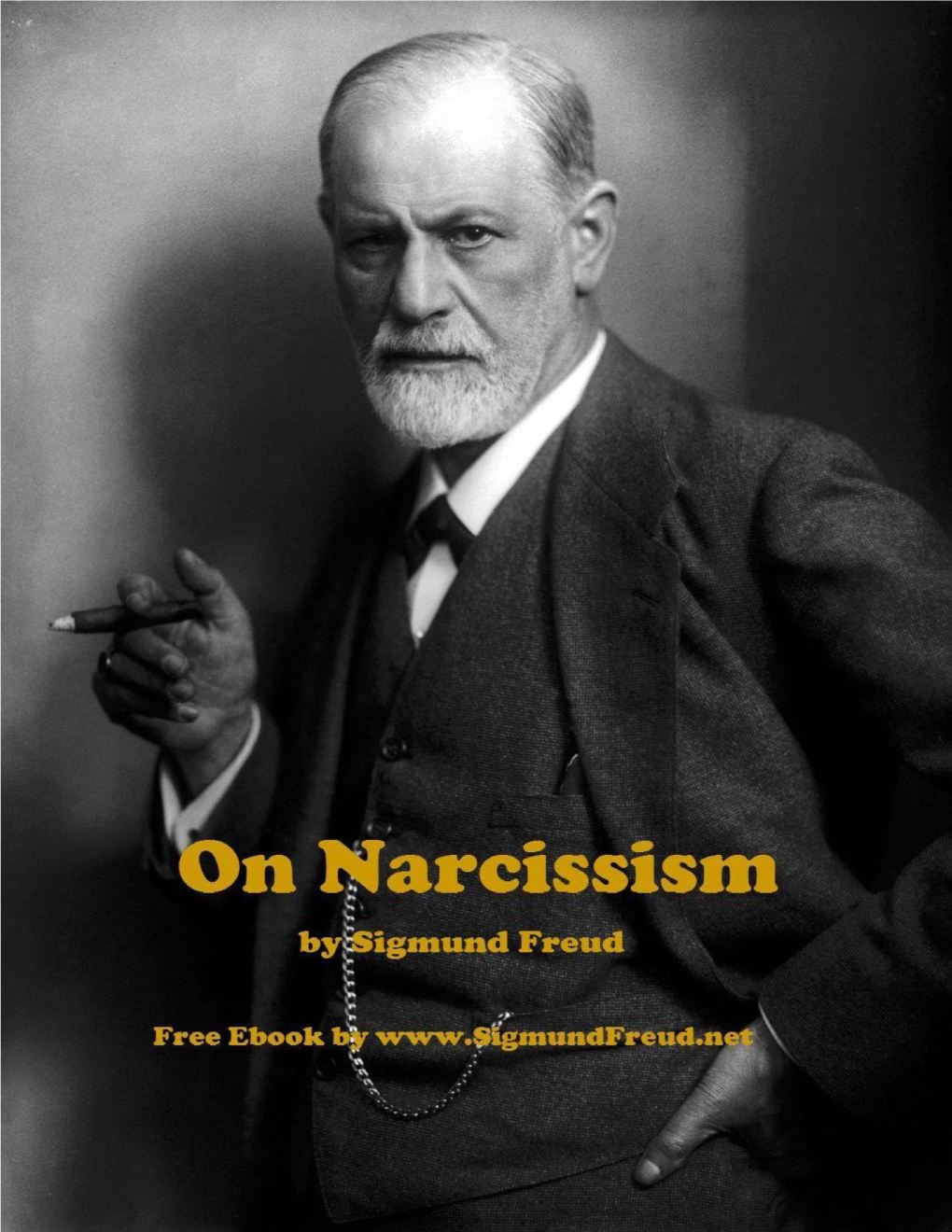 On Narcissism: an Introduction