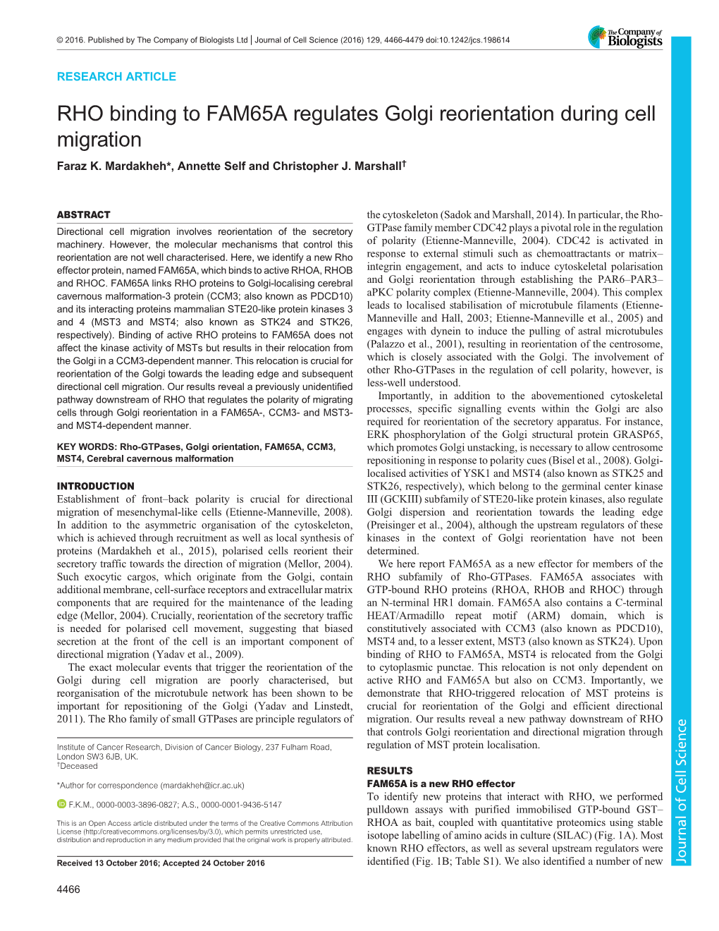 RHO Binding to FAM65A Regulates Golgi Reorientation During Cell Migration Faraz K