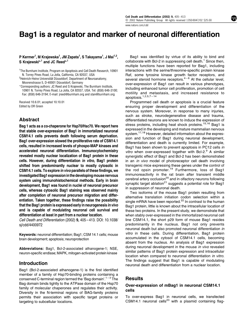 Bag1 Is a Regulator and Marker of Neuronal Differentiation