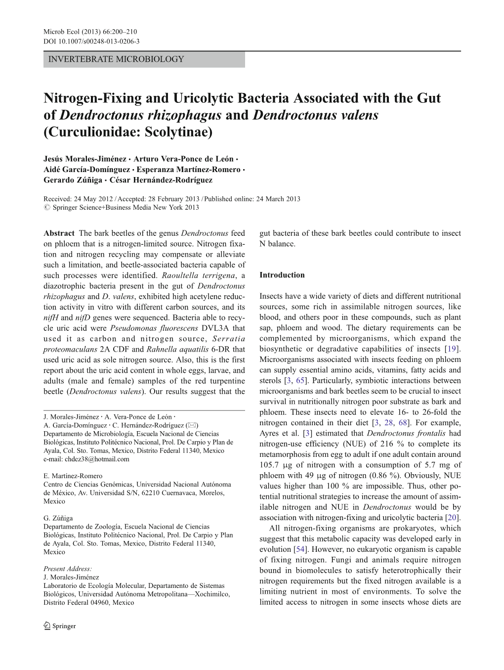 Nitrogen-Fixing and Uricolytic Bacteria Associated with the Gut of Dendroctonus Rhizophagus and Dendroctonus Valens (Curculionidae: Scolytinae)