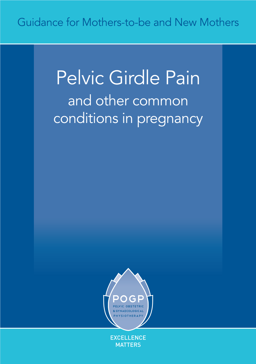 Pelvic Girdle Pain and Other Common Conditions in Pregnancy