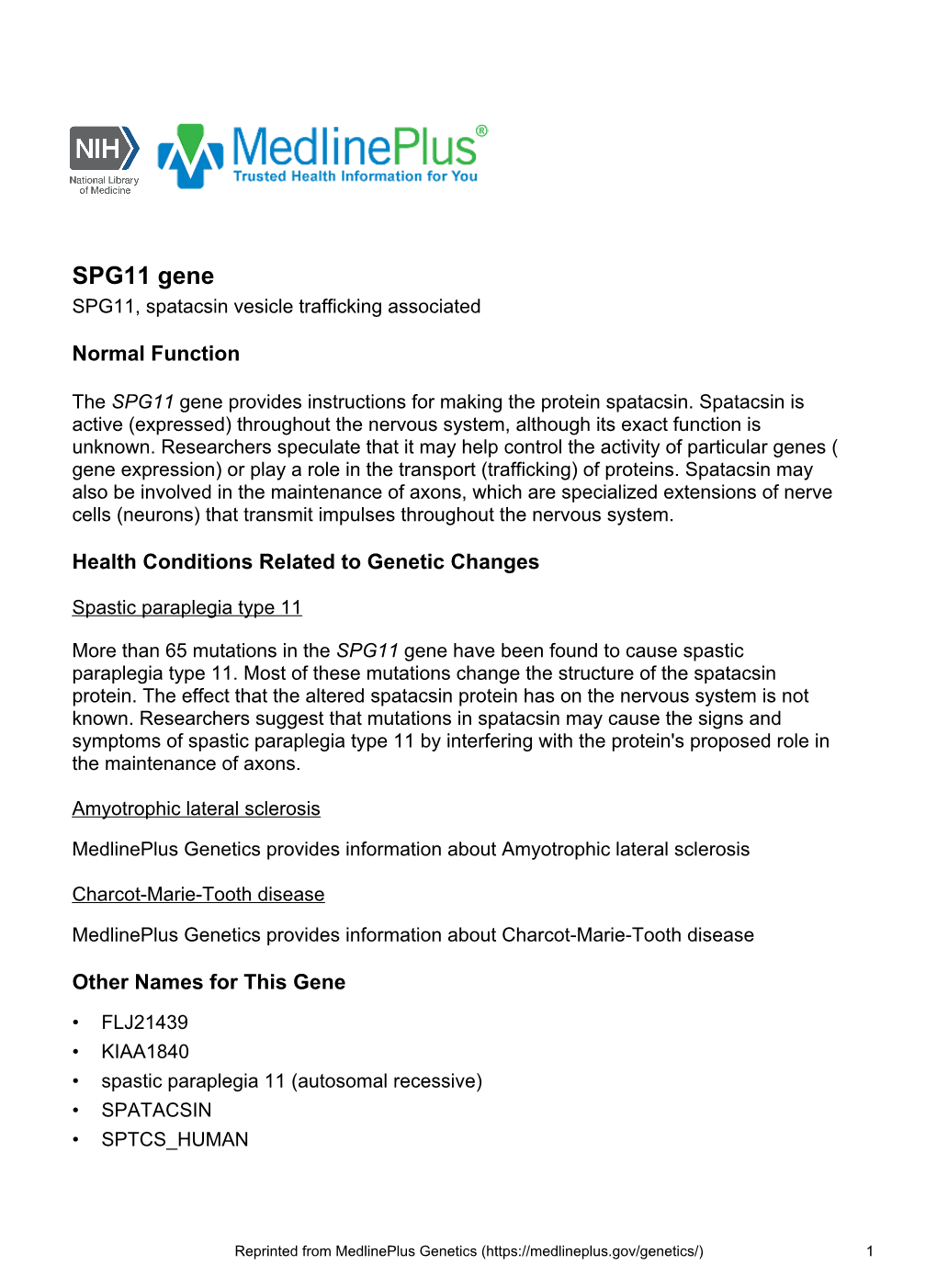 SPG11 Gene SPG11, Spatacsin Vesicle Trafficking Associated