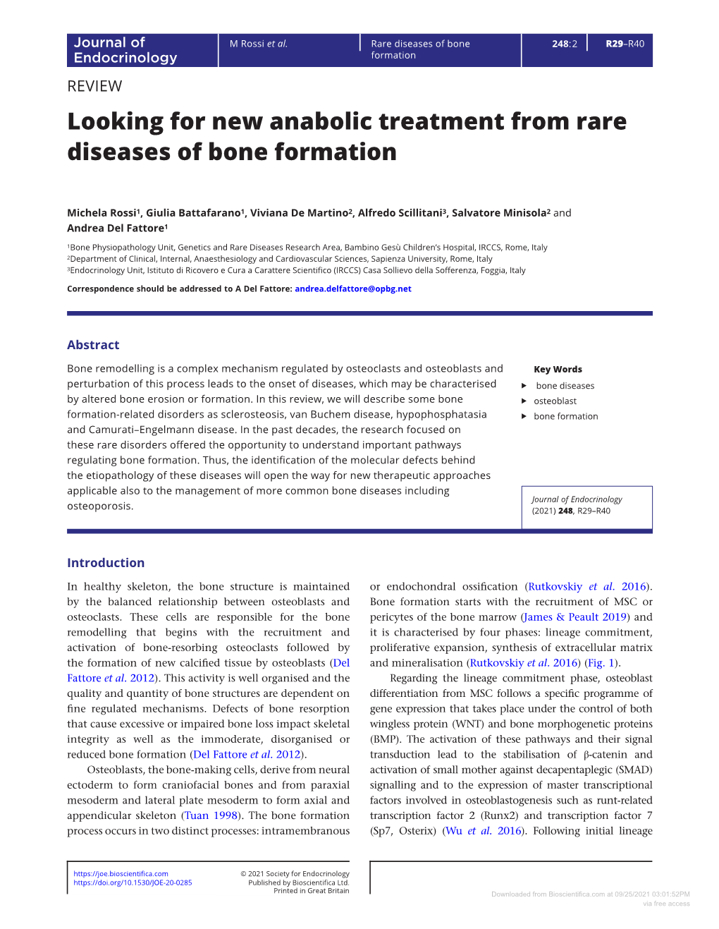 Looking for New Anabolic Treatment from Rare Diseases of Bone Formation