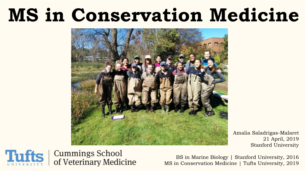 MS in Conservation Medicine