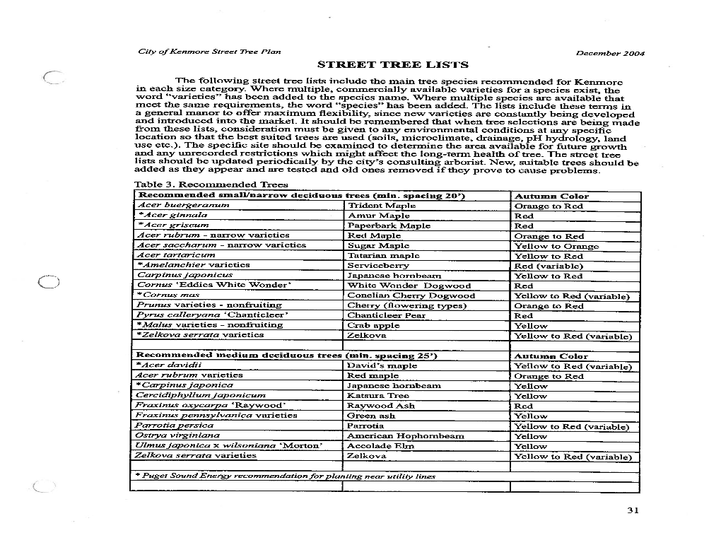 City's Approved Street Tree List