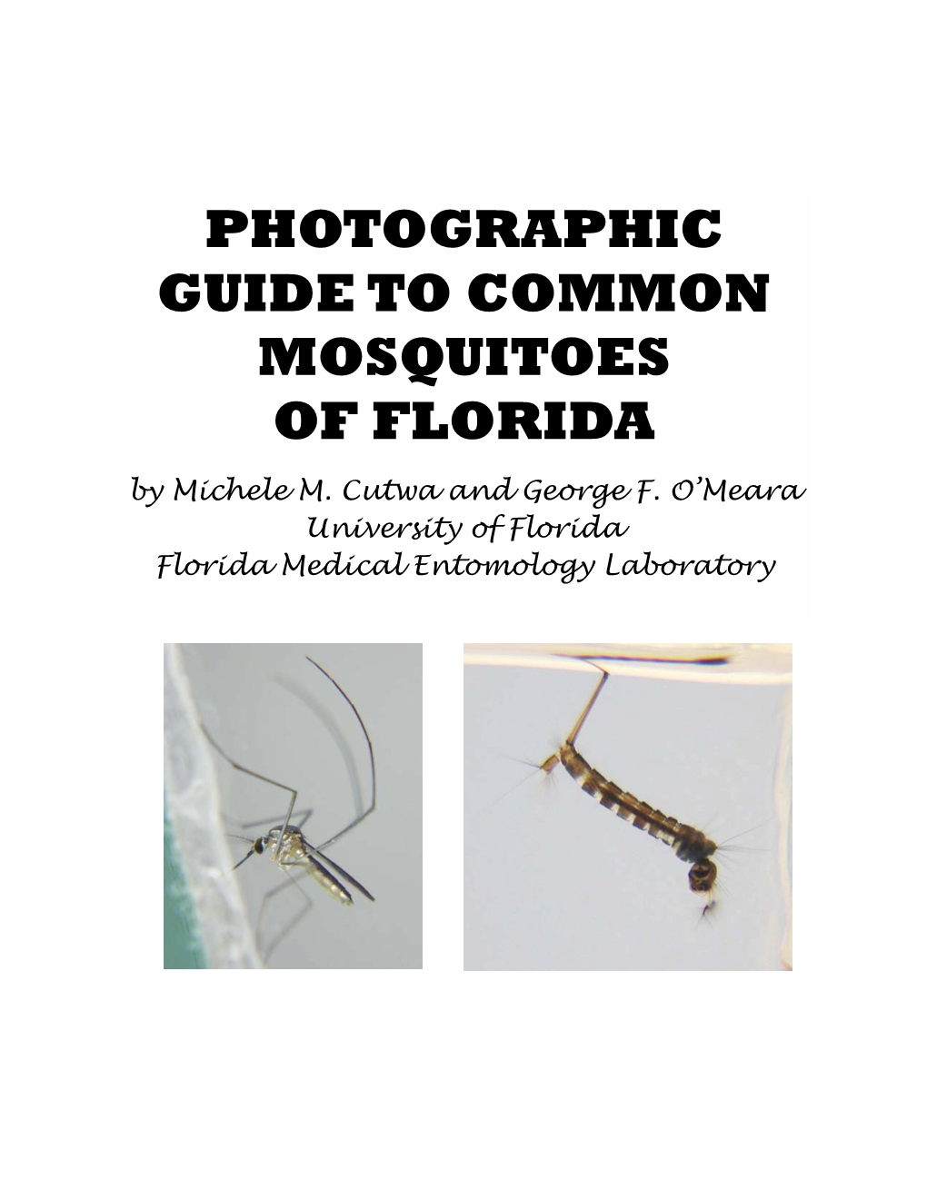 PHOTOGRAPHIC GUIDE to COMMON MOSQUITOES of FLORIDA by Michele M