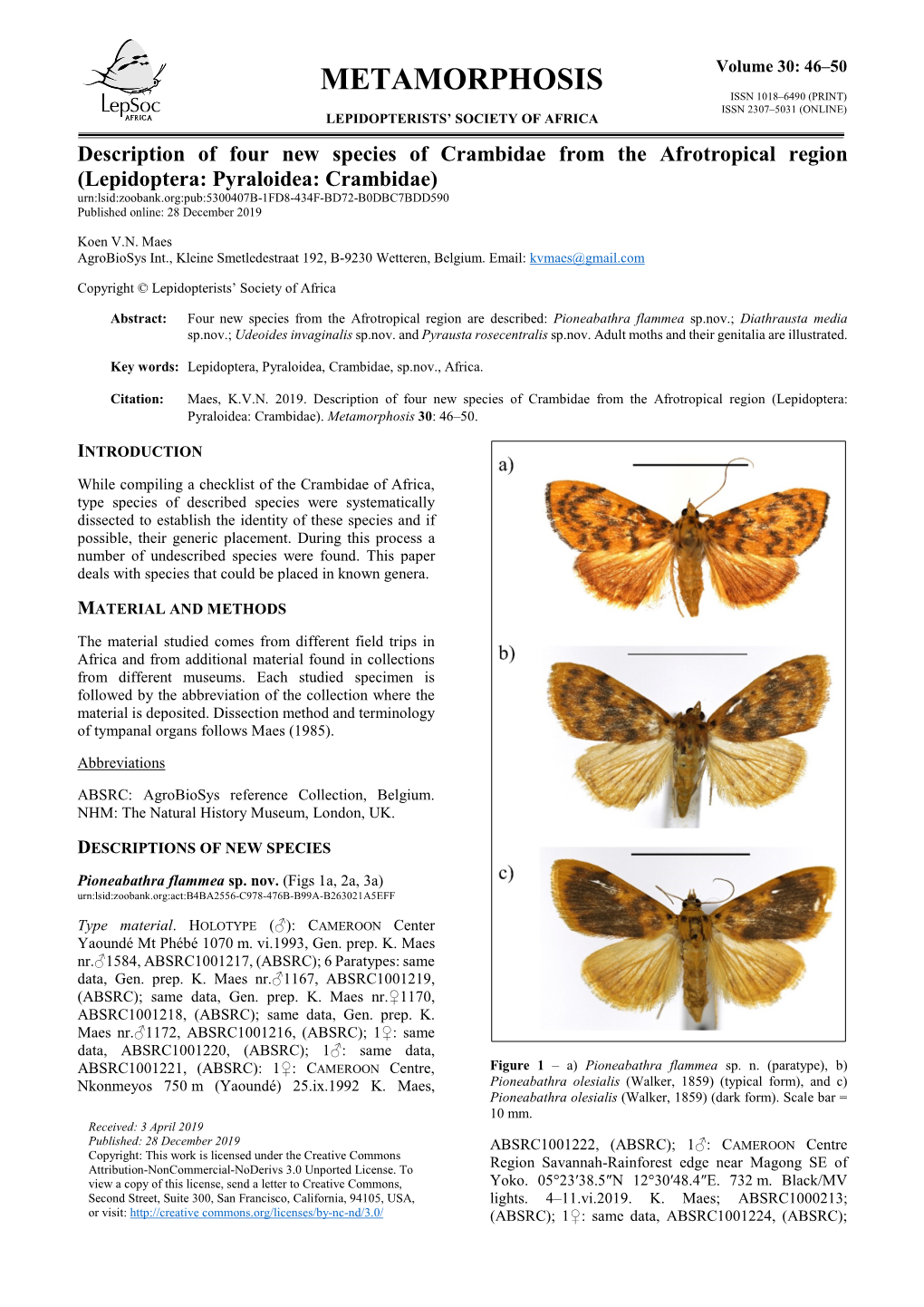 Maes Crambidae.Pdf