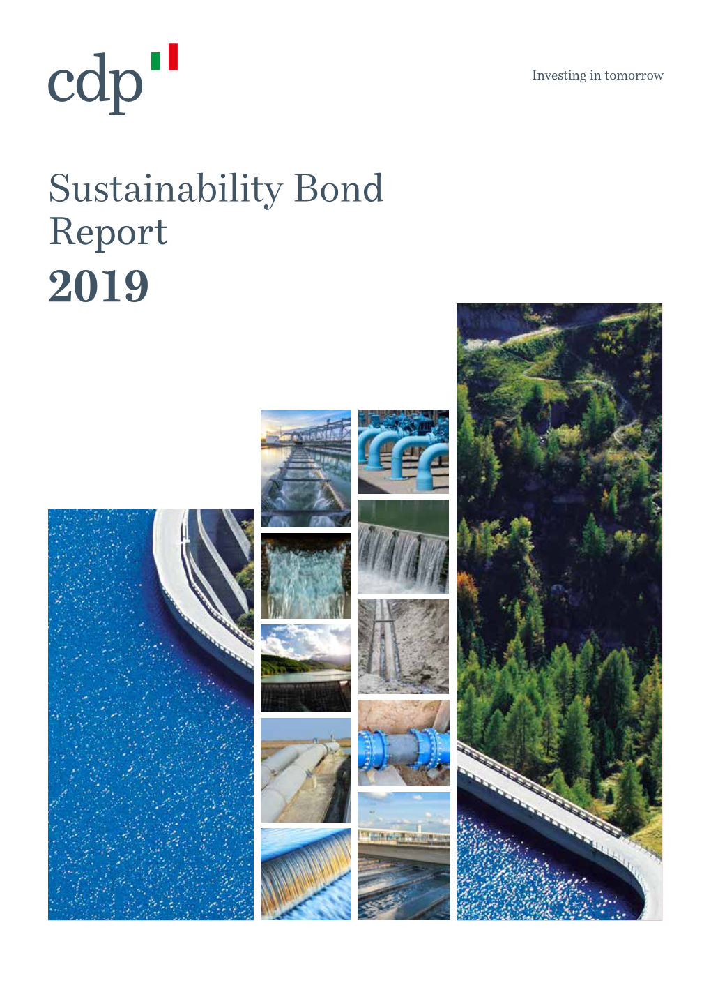 CDP Sustainability Bond Report 2019