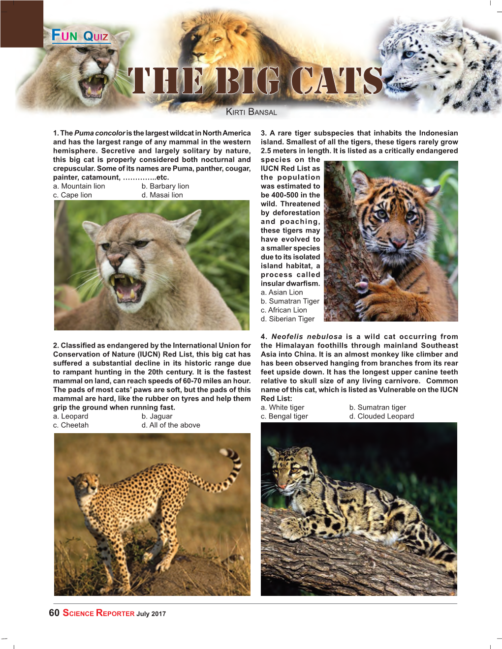 The Big Cats KIRTI BANSAL