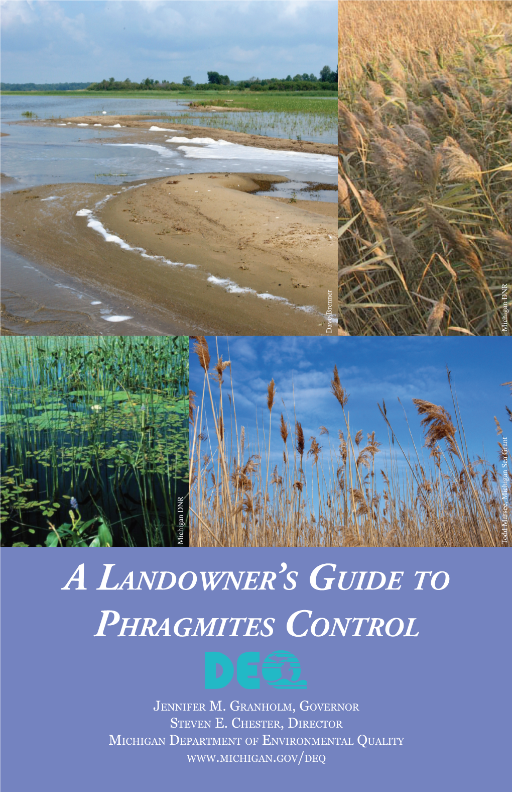 A Landowner's Guide to Phragmites Control