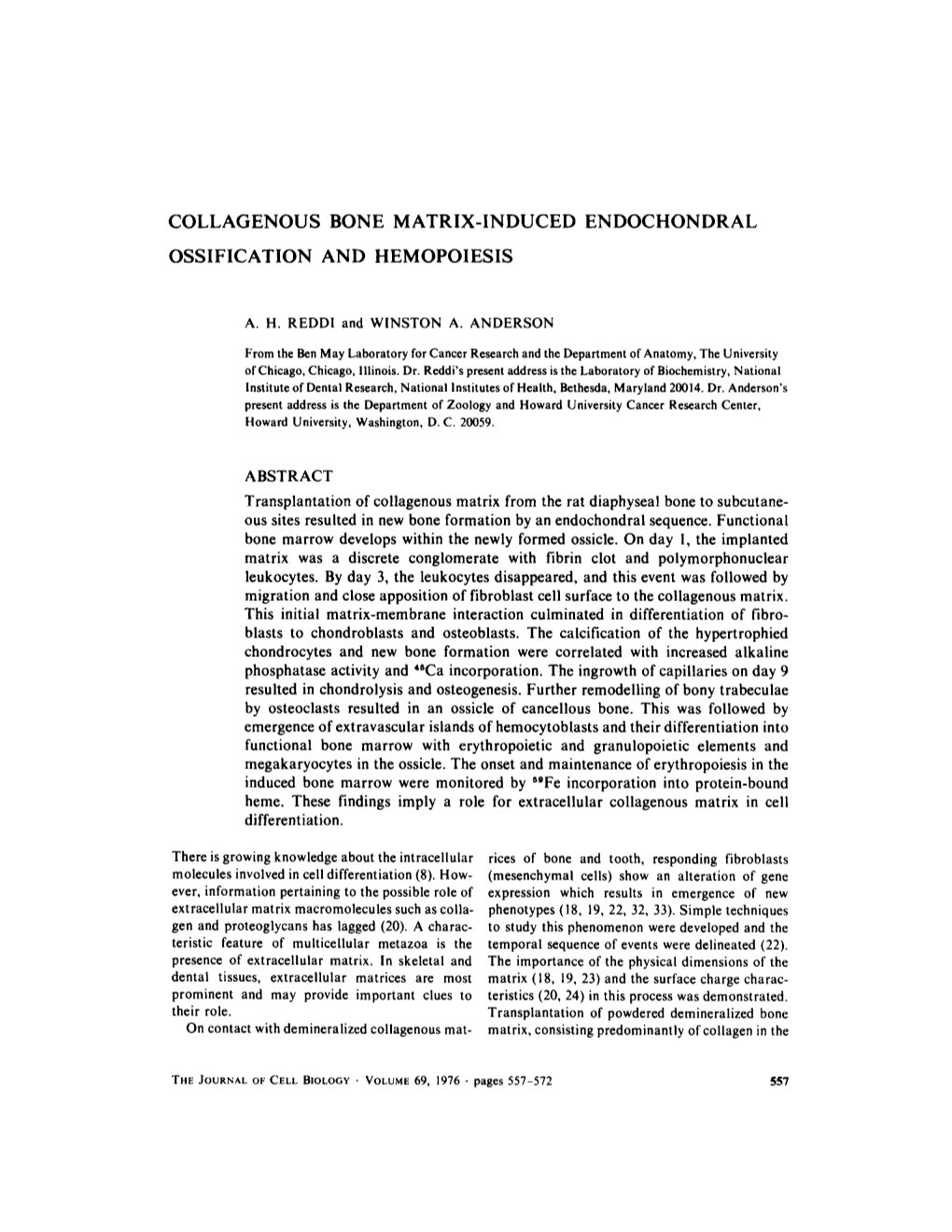 Collagenous Bone Matrix-Induced Endochondral