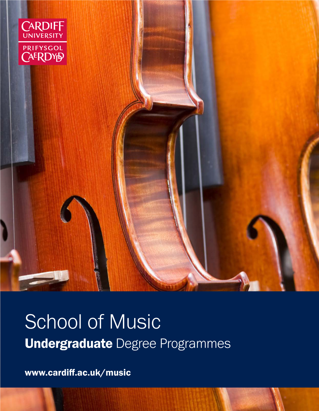 School of Music Undergraduate Degree Programmes