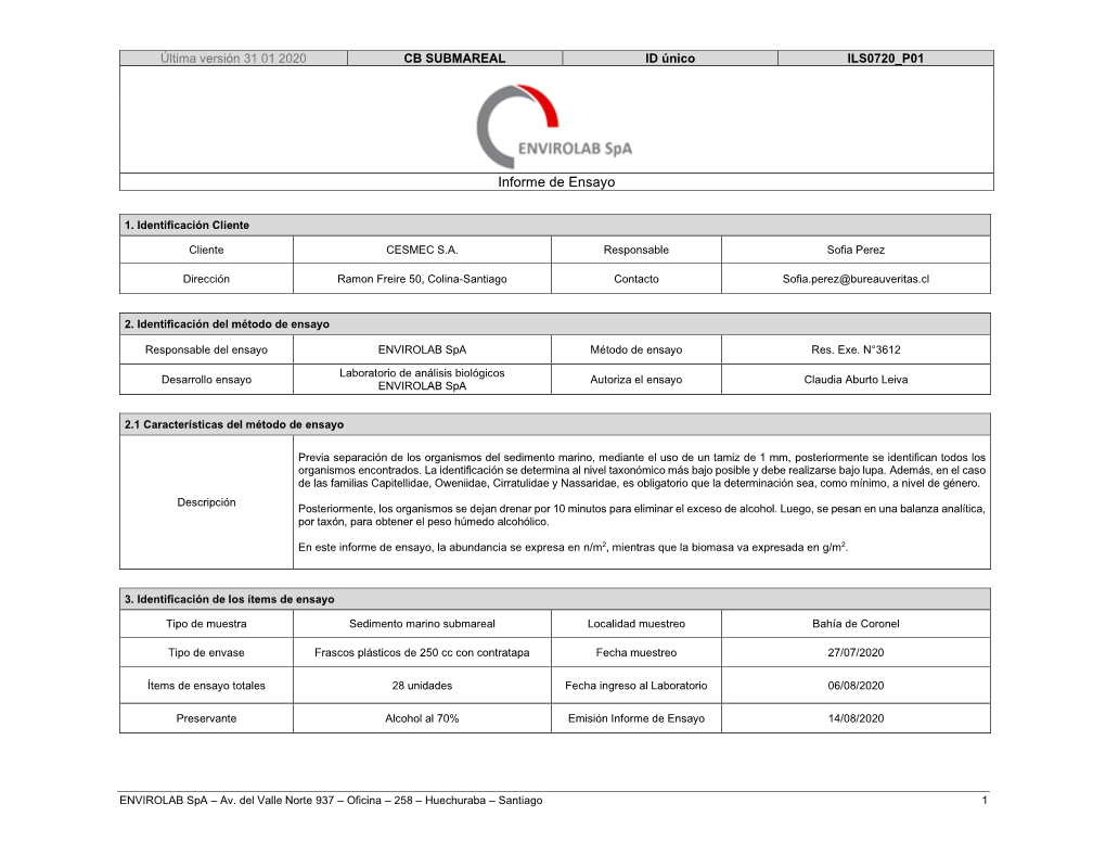 Informe De Ensayo