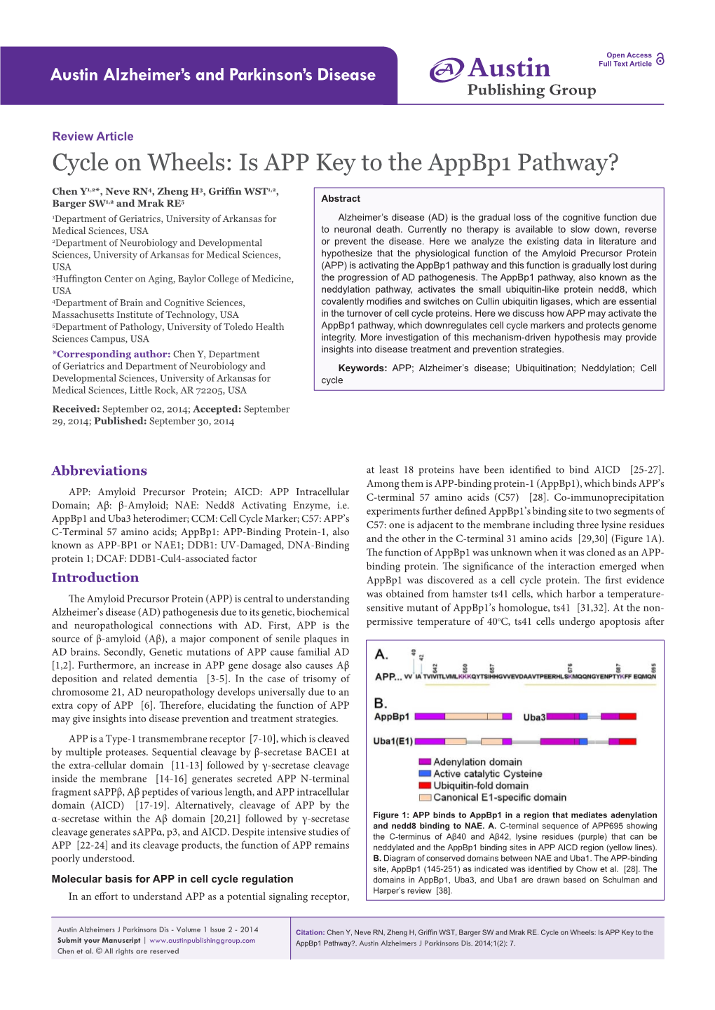 Cycle on Wheels: Is APP Key to the Appbp1 Pathway?