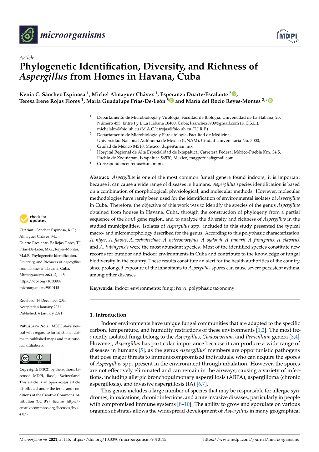 Phylogenetic Identification, Diversity, and Richness of Aspergillus From