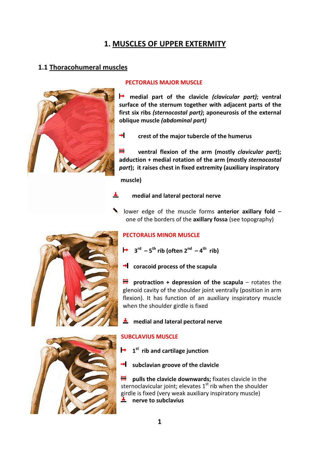 1. Muscles of Upper Extermity