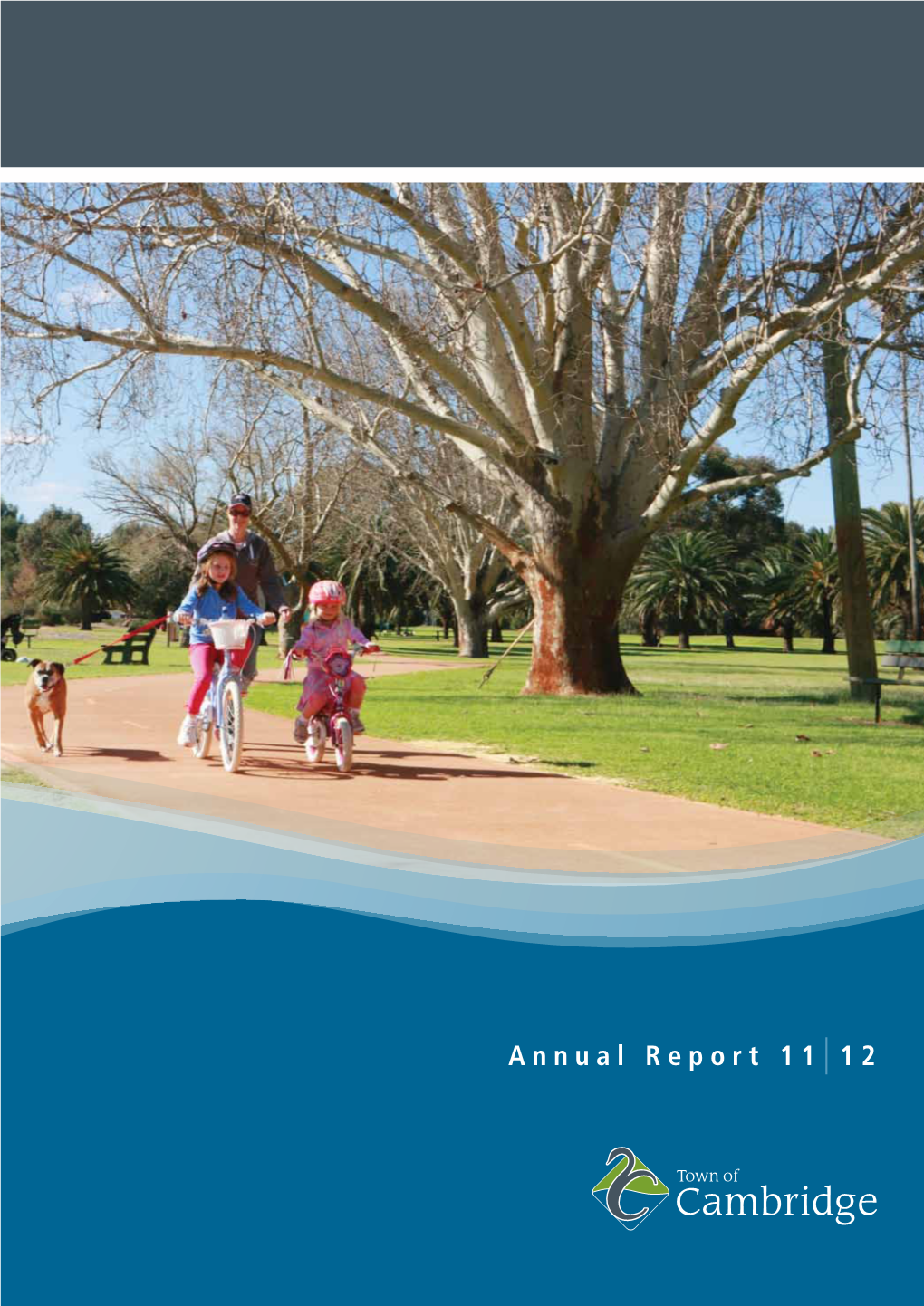 Annual Report 11 |
