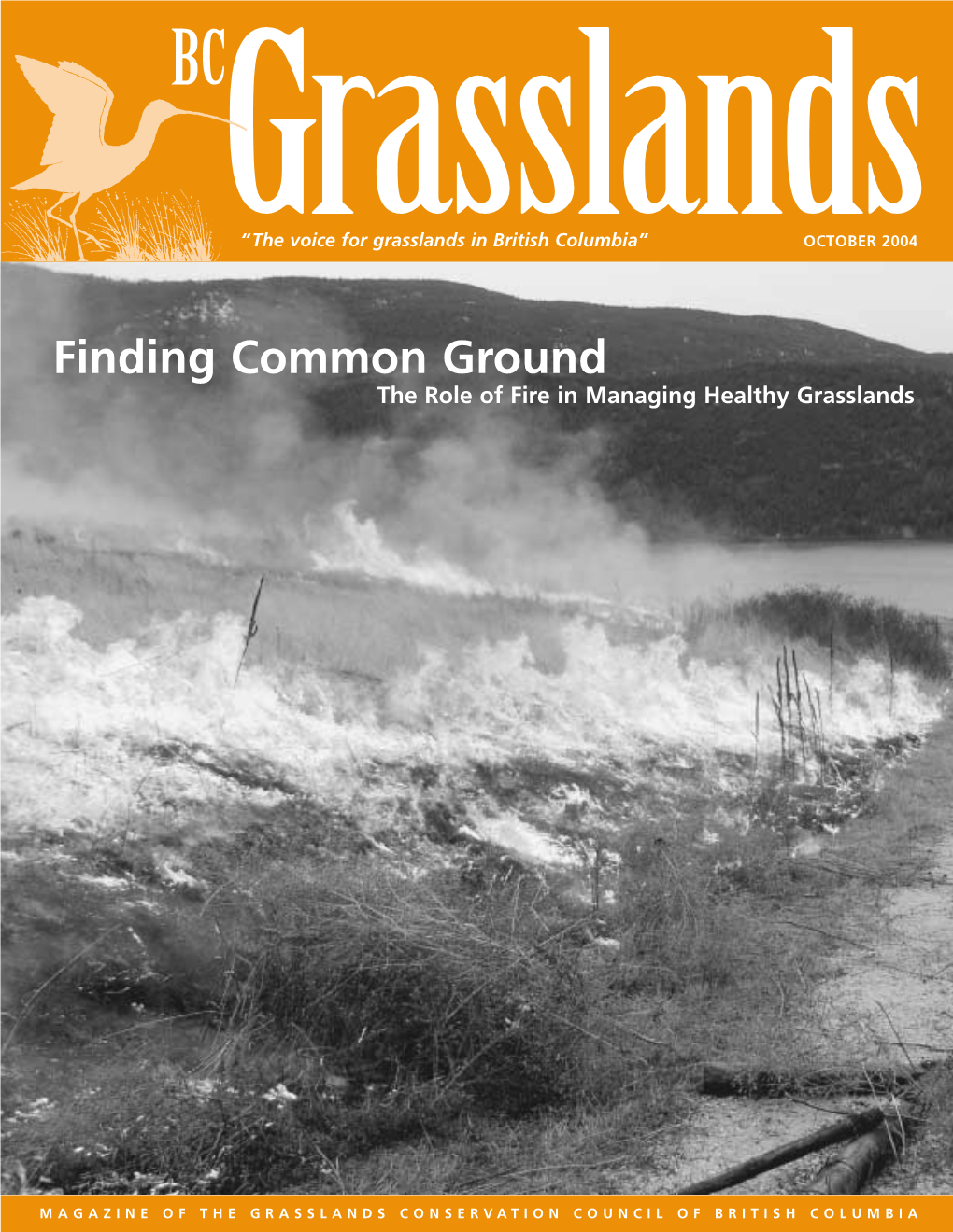 Finding Common Ground the Role of Fire in Managing Healthy Grasslands