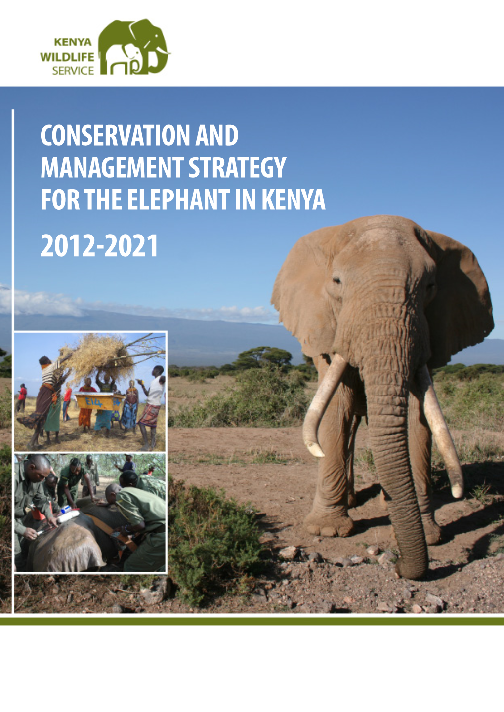 Kenya Elephant Conservation Strategy