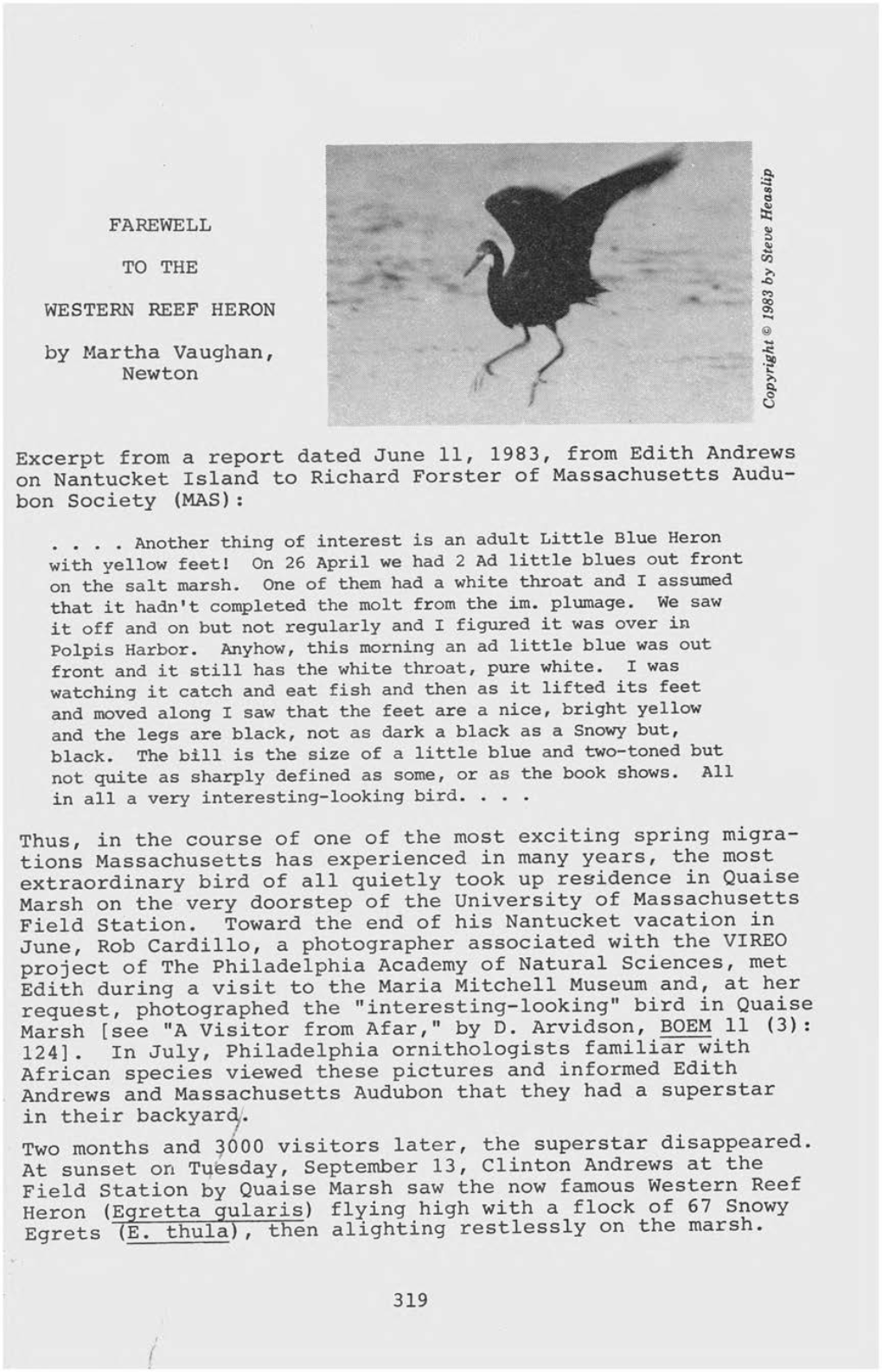 FAREWELL to the WESTERN REEF HERON by Martha Vaughan, Newton Excerpt from a Report Dated June 11, 1983, from Edith Andrews on Na