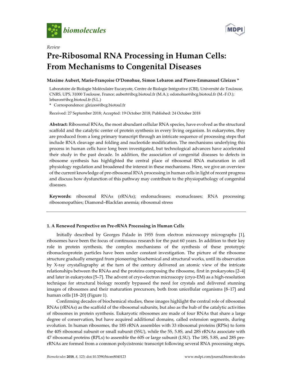 Pre-Ribosomal RNA Processing in Human Cells: from Mechanisms to Congenital Diseases