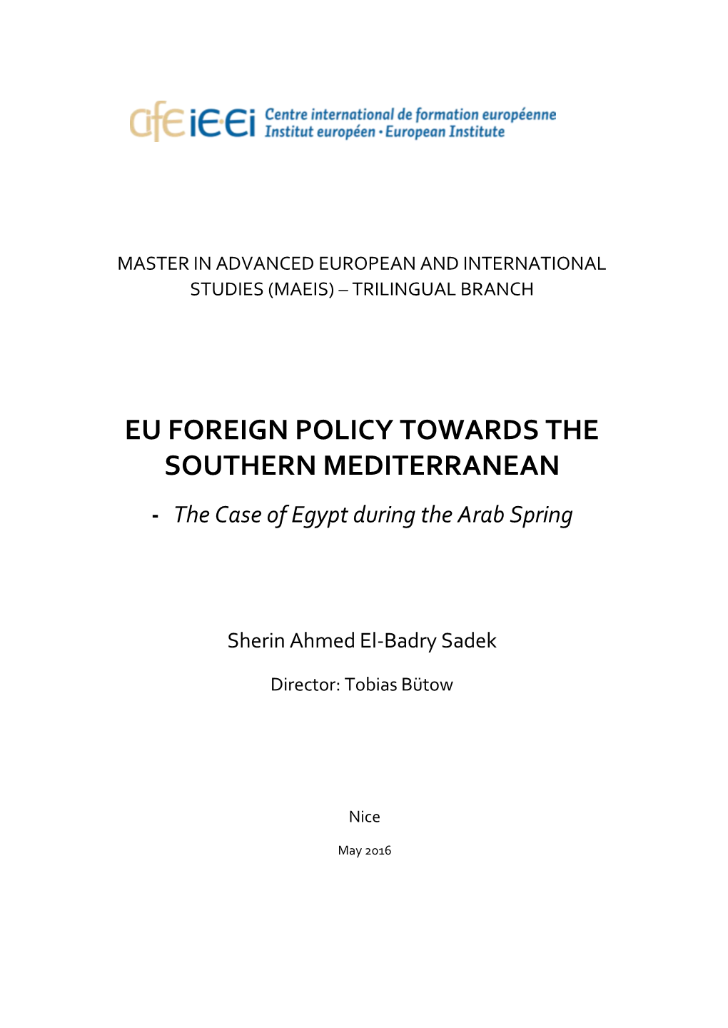 EU FOREIGN POLICY TOWARDS the SOUTHERN MEDITERRANEAN - the Case of Egypt During the Arab Spring