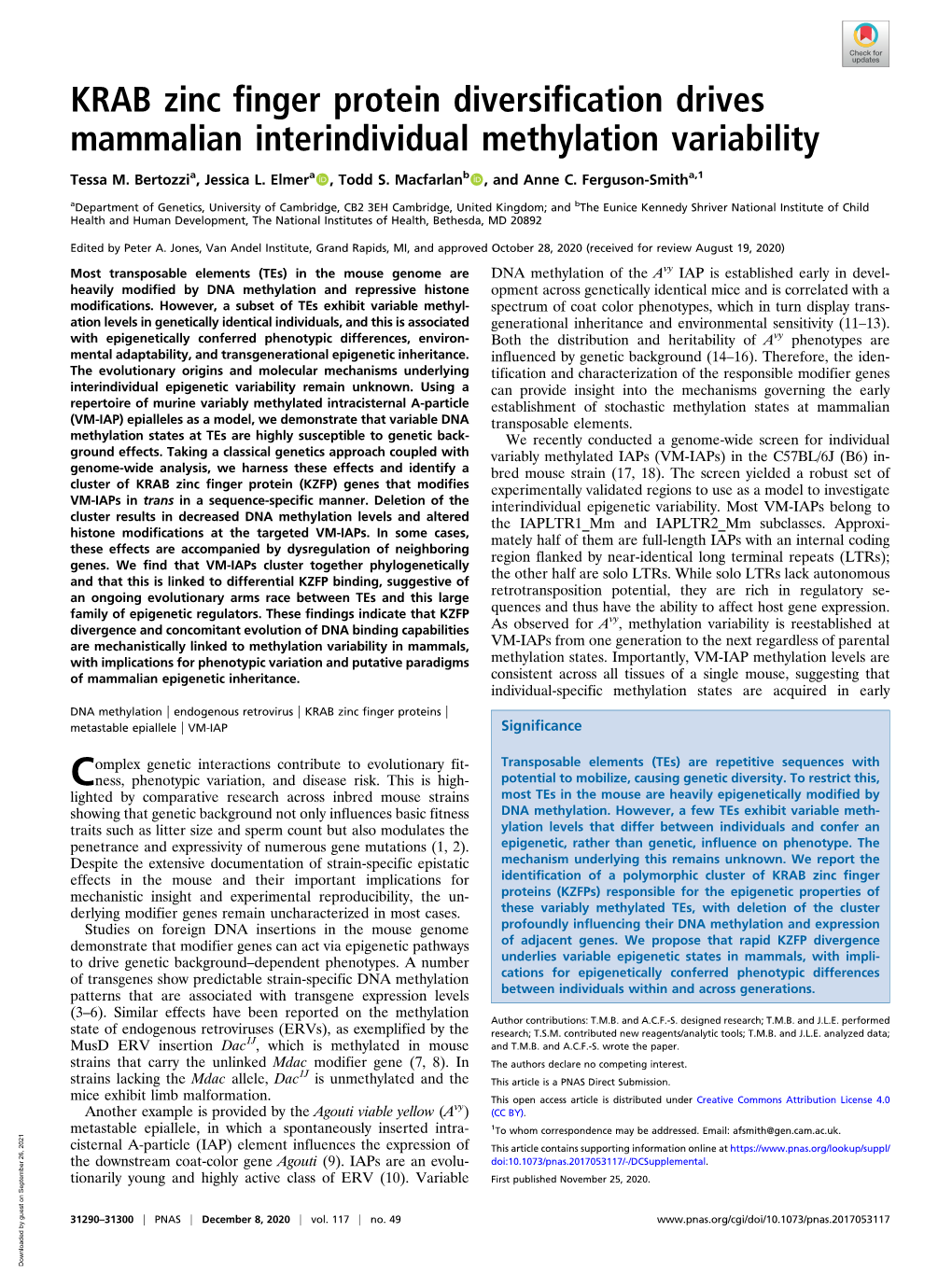 KRAB Zinc Finger Protein Diversification Drives Mammalian Interindividual Methylation Variability