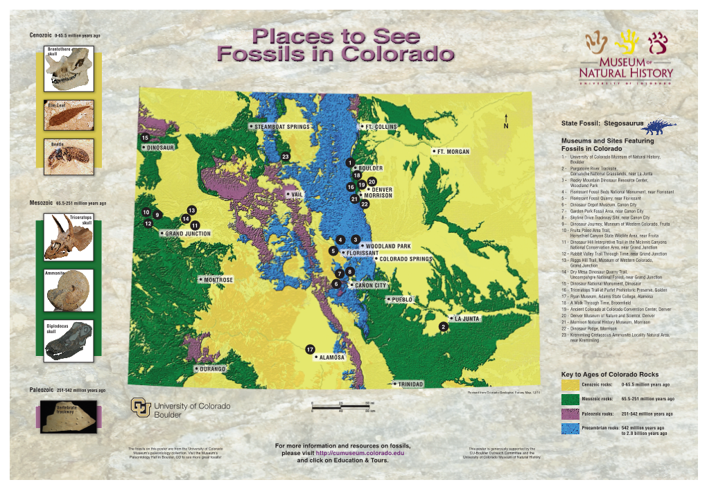 Stegosaurus Museums and Sites Featuring Fossils in Colorado