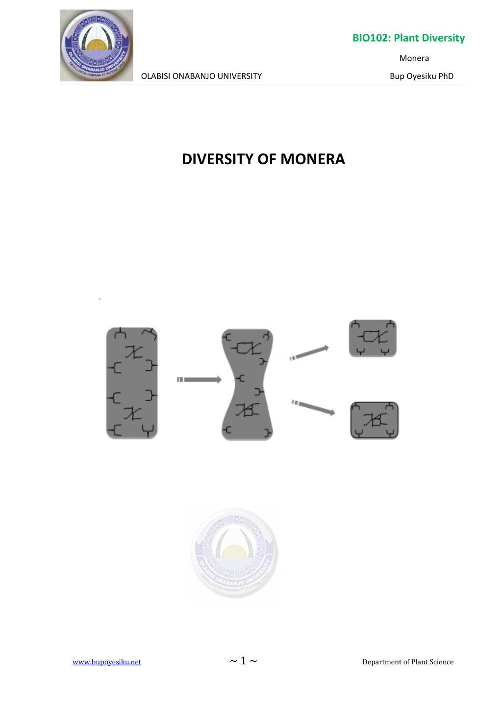 Diversity of Monera