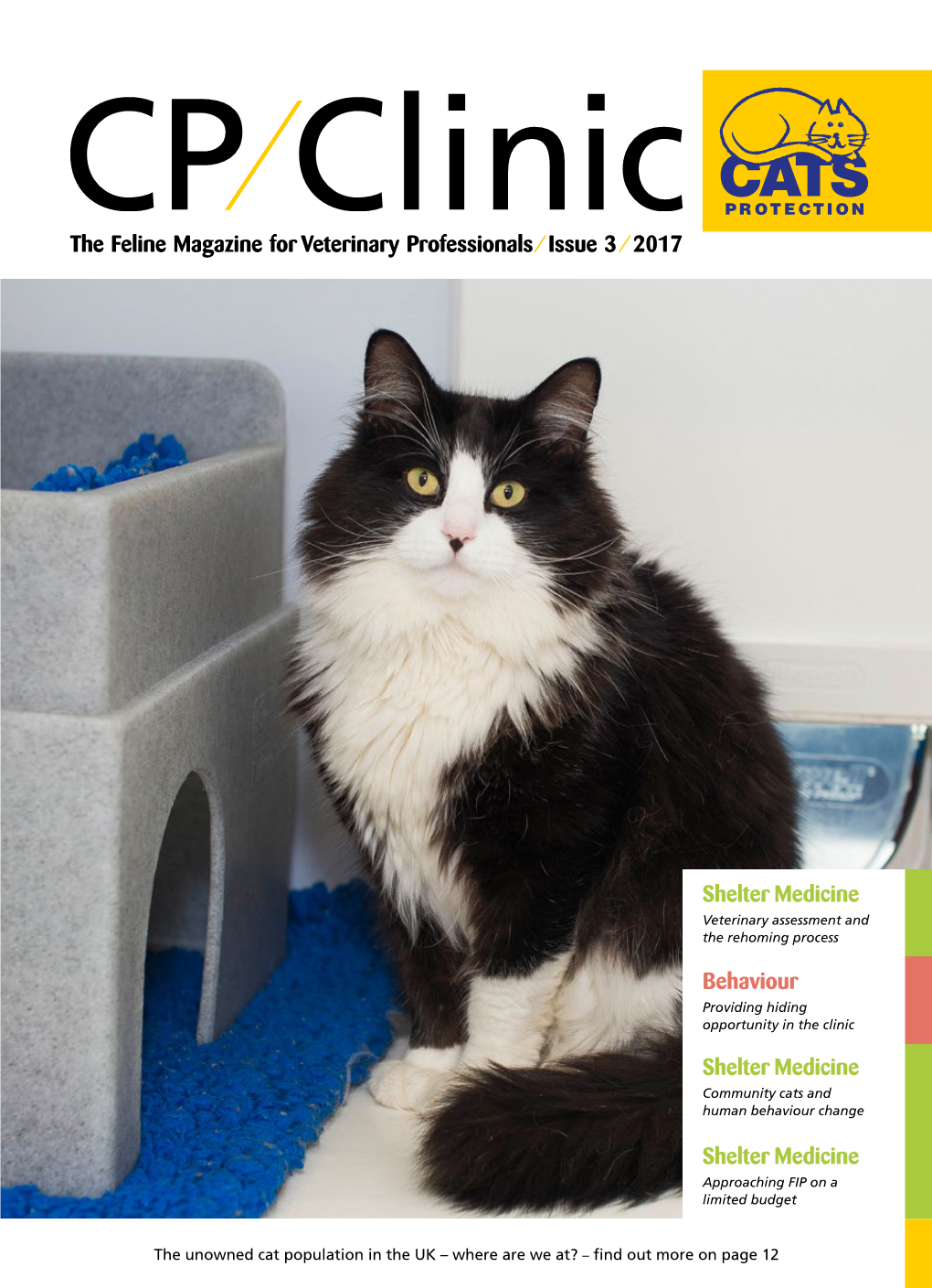 Approaching Feline Coronavirus and Feline Infectious Peritonitis on a Limited Budget