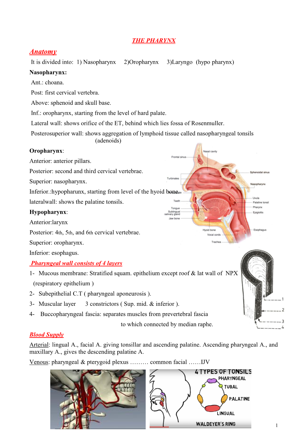 PHARYNX Anatomy It Is Divided Into: 1) Nasopharynx 2)Oropharynx 3)Laryngo (Hypo Pharynx) Nasopharynx: Ant.: Choana