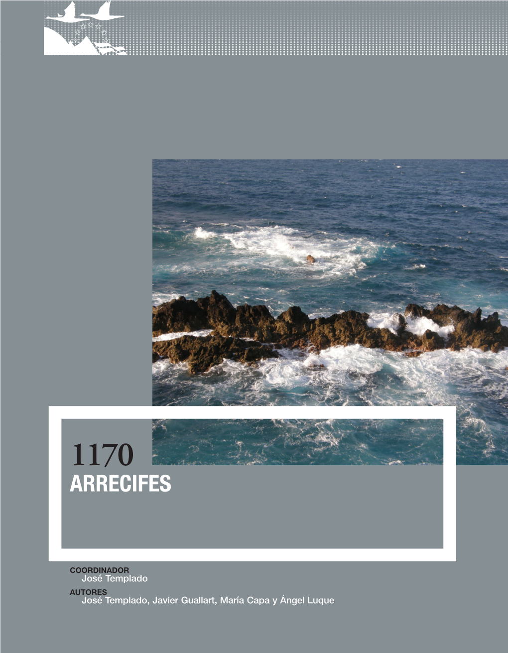 1170 Arrecifes